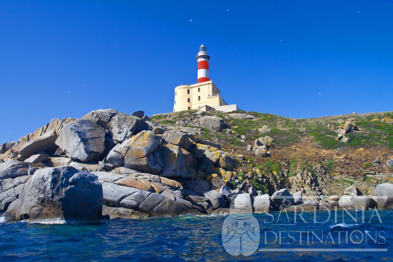 Isola dei Cavoli