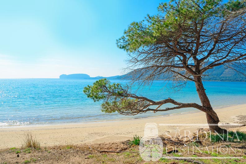 Spiaggia di Mugoni